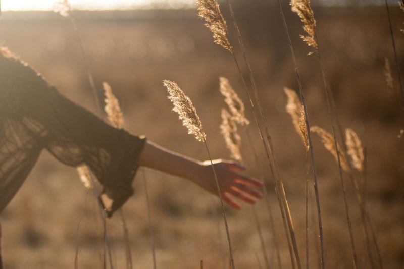 girl-in-field