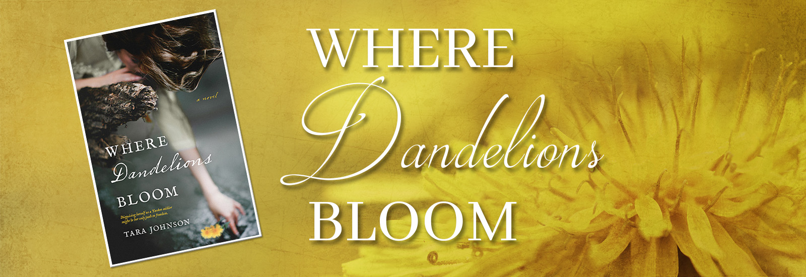 Where Dandelions Bloom by Tara Johnson